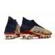 adidas Predator 19+ FG Firm Ground Boots - Gold Silver Red