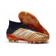adidas Predator 19.1 FG Soccer Cleat Gold Red Silver