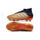 adidas Predator 19.1 FG Soccer Cleat Gold Red Silver