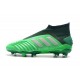 adidas Predator 19+ FG Firm Ground Boots - Green Silver