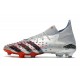 adidas Predator Freak.1 FG Boots Silver Metallic Core Black Scarlet