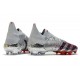 adidas Predator Freak.1 FG Boots Silver Metallic Core Black Scarlet