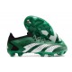 adidas Predator Accuracy.1 Low FG Green White