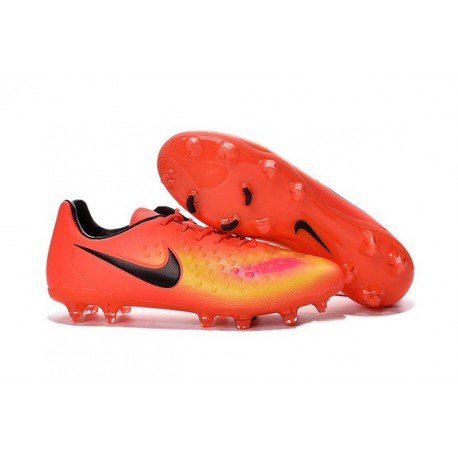 magista acc