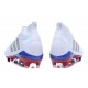 adidas Telstar Predator 18+ FG Soccer Cleats Russian White Silver