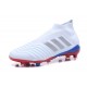 adidas Telstar Predator 18+ FG Soccer Cleats Russian White Silver