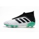 adidas New Predator 18+ FG Soccer Cleats White Green Black